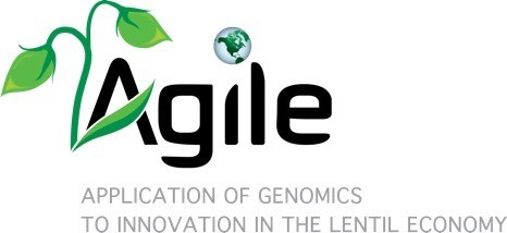 agile-logo.jpg