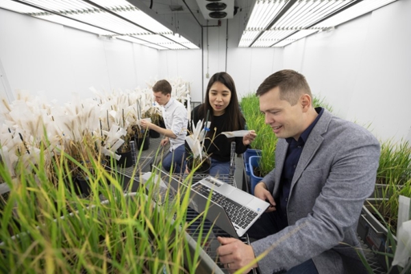 Image source: University of Saskatchewan Plant Phenotyping and Imaging Research Centre