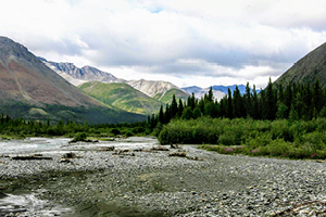 Wind River within the Peel Watershed, located in the Traditional Territory of the First Nation of Na-Cho Nyak Dun in the Yukon.