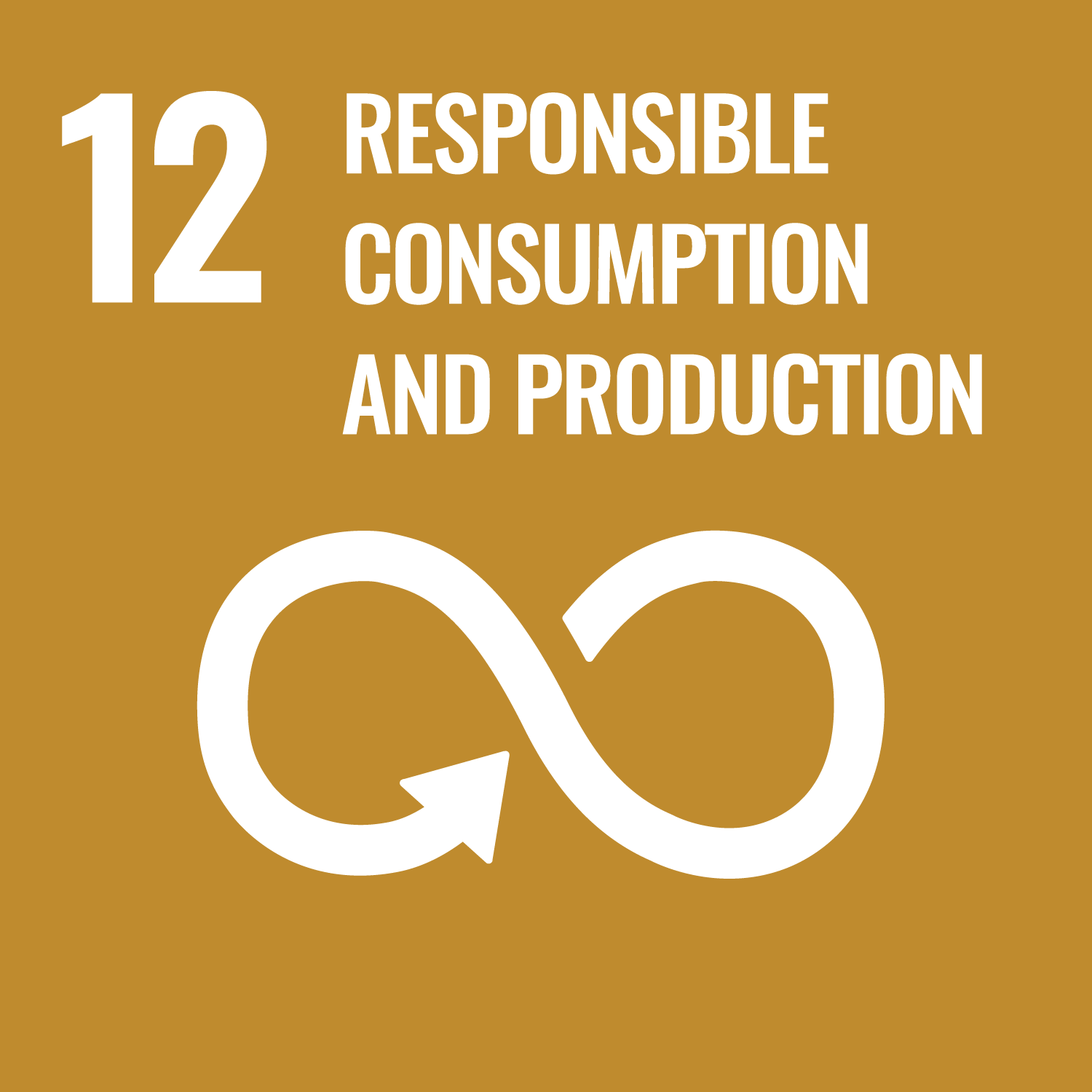 sdg12_web.png
