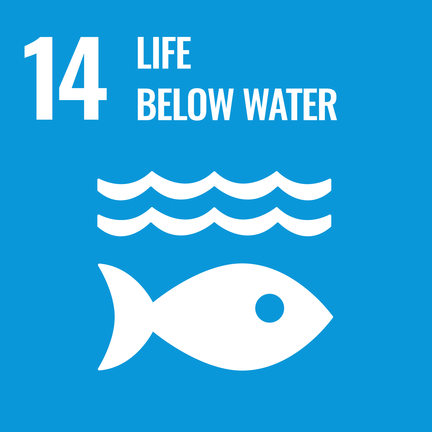 sdg14_web.png