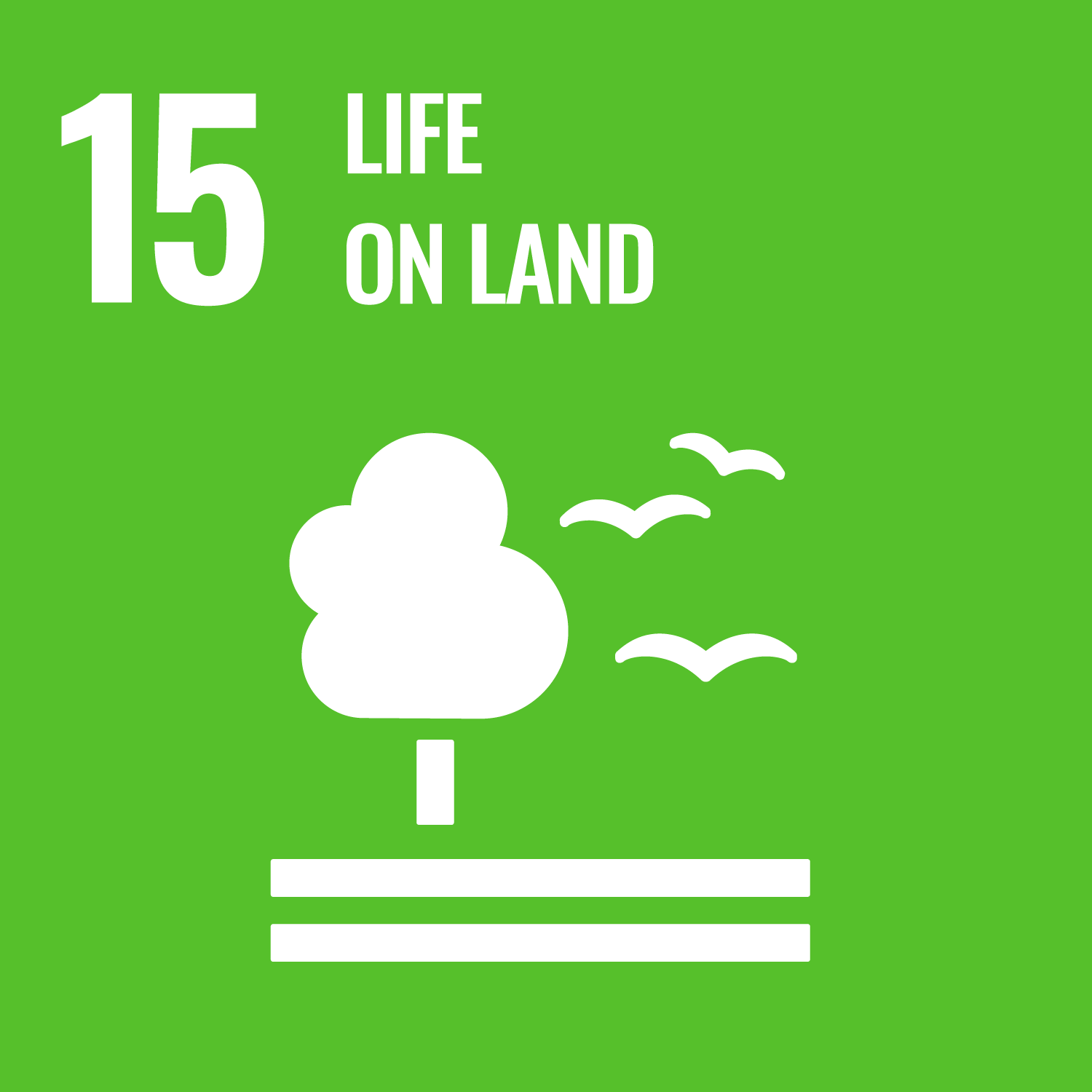 sdg15_web.png