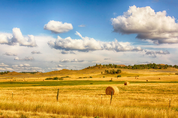 Photo Credit: Photo by Pexels